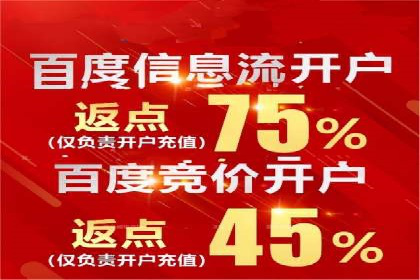 百度竞价开户的五大成功案例：如何进行精准投放？